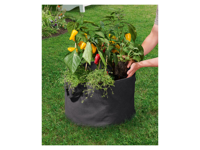 Aller en mode plein écran : PARKSIDE® Lot de 2 sacs à plantes en non-tissé - Image 30