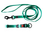 Une laisse et un collier pour chien vert avec une boucle à clip de la marque Ruffwear.