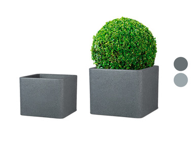 Scheurich Pot à plantes « Cube », en plastique, carré, à paroi épaisse