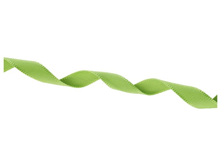 Un ruban vert ondulé sur un fond blanc.