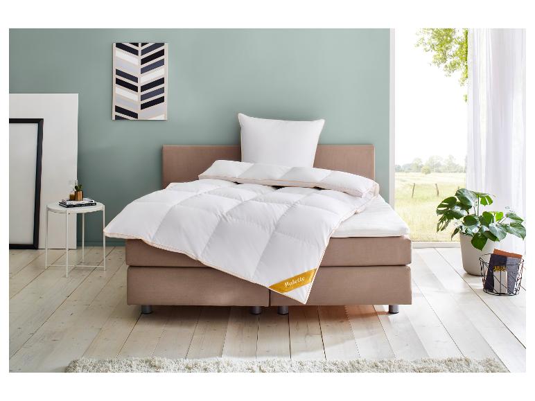 Chambre à coucher avec un lit, une couette et un oreiller blancs, une table d'appoint et une plante.
