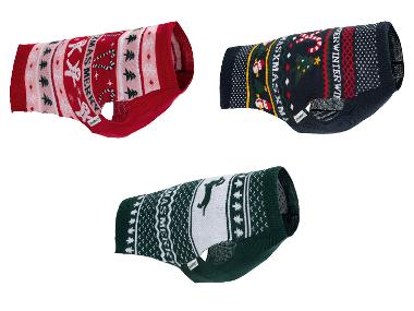 zoofari® - Pull de Noël pour chien 