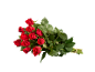 Bouquet de roses rouges avec des feuilles vertes sur fond noir.