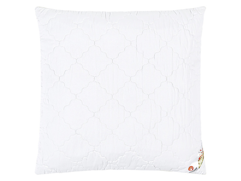 Aller en mode plein écran : LIVARNO home Oreiller Polygiene®, 60 x 60 cm - Image 1