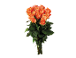 Un bouquet de roses oranges avec des tiges et des feuilles vertes sur fond noir.
