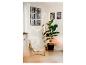 Pièce confortable avec un fauteuil, une plante et une décoration néon murale.