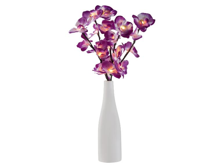 Orchidées violettes illuminées dans un vase blanc