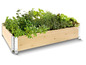 Un bac à plantes en bois avec des herbes et de la laitue.