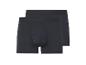 Deux boxers noirs.