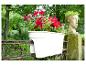 Jardinière blanche avec des fleurs rouges suspendue à une clôture de jardin, avec une sculpture en arrière-plan.
