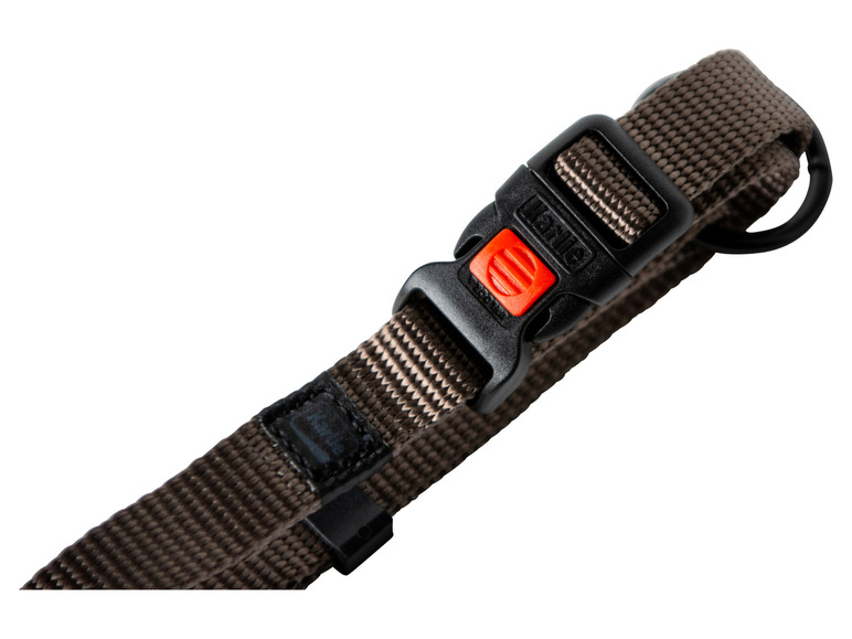Aller en mode plein écran : Collier avec laisse - Image 9