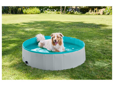 zoofari® Bassin pour chiens, Ø 120 x H 30 cm