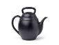 Arrosoir noir et élégant au design unique.