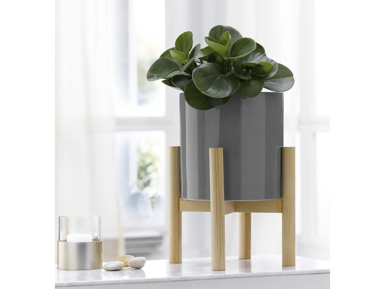 Aller en mode plein écran : LIVARNO home Cache-pot en céramique avec support en pin - Image 7