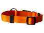 Un collier orange pour chien avec une boucle noire.