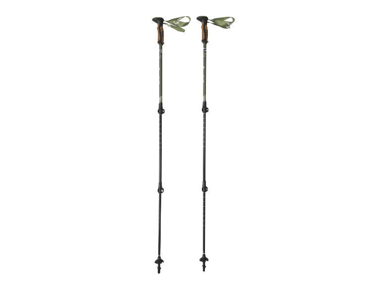 Une paire de bâtons de trekking verts et noirs avec poignées en liège et dragonnes vertes.
