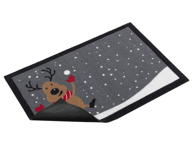 Aller en mode plein écran : LIVARNO home Tapis antipoussière, 40 x 60 cm - Image 11