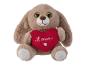 Une peluche marron tenant un cœur rouge avec l'inscription 'Love'
