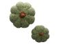 Deux coussins en forme de fleur de couleur vert olive.