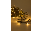 Guirlande lumineuse LED blanc chaud avec des branches de pin vertes en arrière-plan.