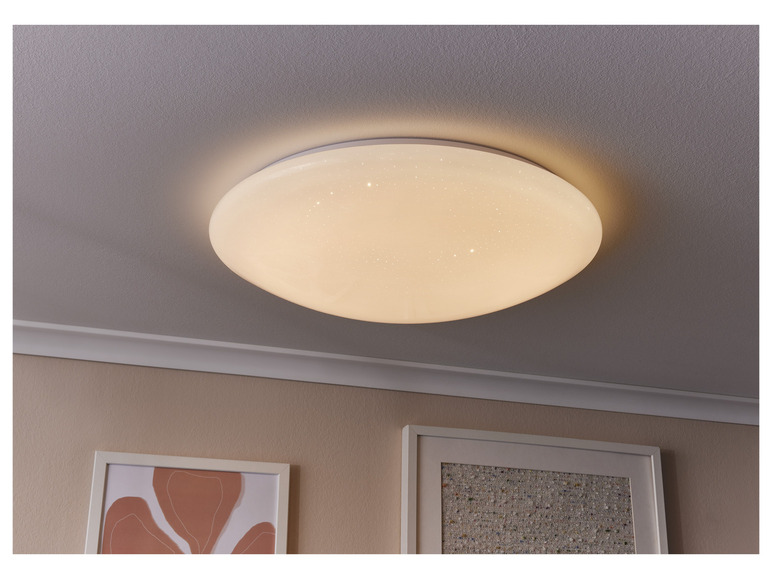 Aller en mode plein écran : LIVARNO home Panneau LED avec variateur de blanc, 38,9 W - Image 9