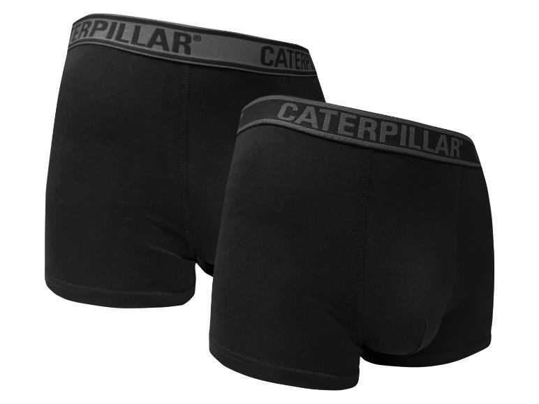 Deux boxers noirs Caterpillar.