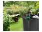 Pompe Parkside pour récupérateur d'eau, brouette et jardin fleuri.