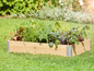 Un potager en bois avec différents types de légumes, y compris de la laitue, des betteraves et du chou.