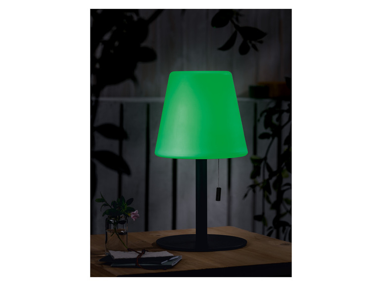 Aller en mode plein écran : LIVARNO home Lampe d'extérieur de table sans fil - Image 22