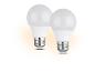 Deux ampoules LED blanches