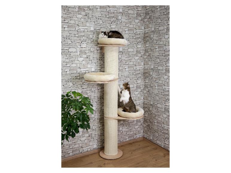 Deux chats sur un arbre à chat beige à plusieurs niveaux dans un coin de pièce.