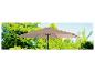 Un parasol beige dans un jardin vert.