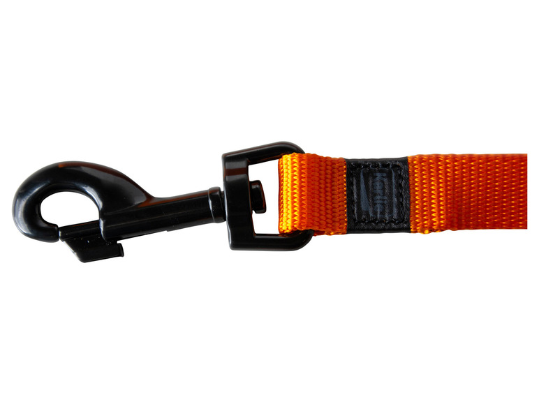 Aller en mode plein écran : Collier avec laisse - Image 30