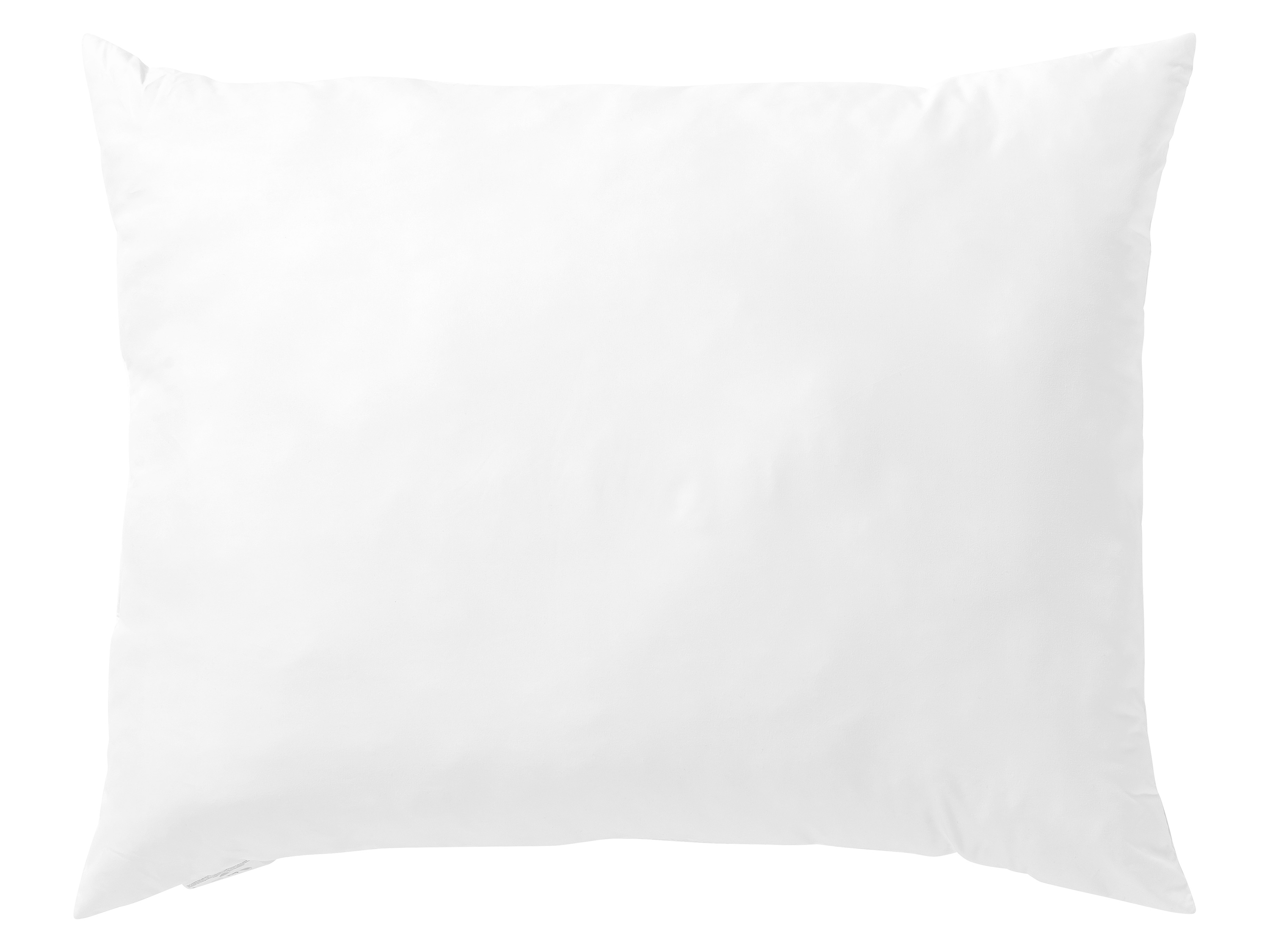 LIVARNO home Oreiller anti-acariens, 60 x 60 cm