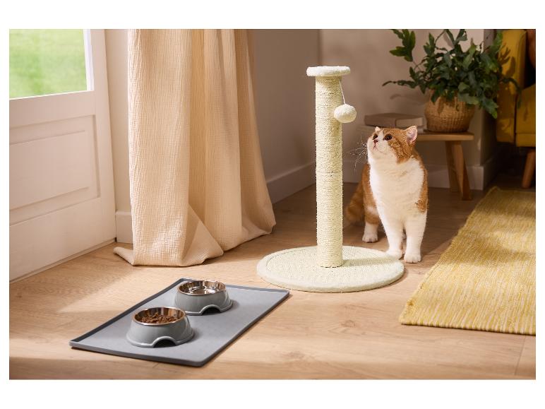 Chat près de l'arbre à chat et des gamelles, en intérieur.