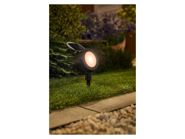 LIVARNO home Projecteur solaire LED dans un jardin éclairant la pelouse.