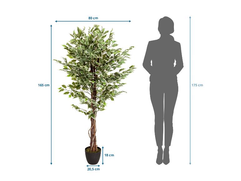 Arbre artificiel avec des feuilles vertes et blanches et des dimensions à côté d'une silhouette.
