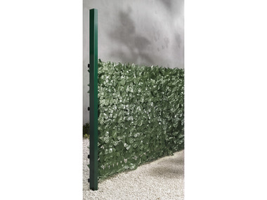 LIVARNO home Brise-vue feuilles, L 3 x H 1 m