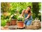 Plantation de fleurs dans des pots terracotta sur roulettes.