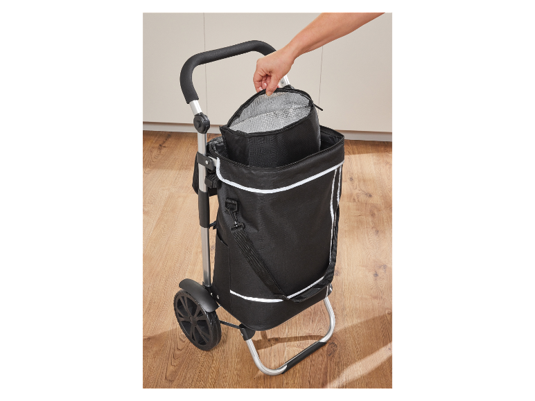 Une personne range un sac isotherme dans un chariot de courses pliable.
