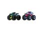 Deux camions jouets Hot Wheels Monster Trucks sur fond blanc.