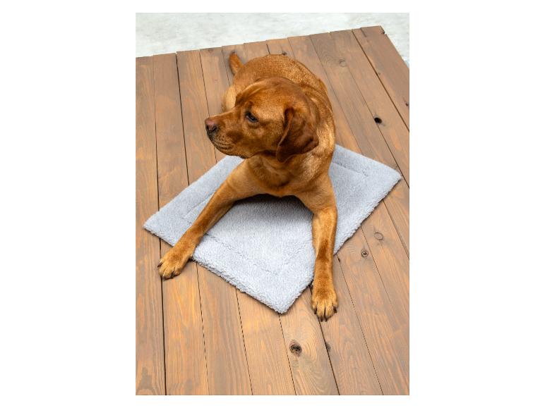 Un chien brun allongé sur un lit de chien gris.