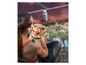 Une femme mange des fruits dans une boîte à lunch sur une piste d'athlétisme.