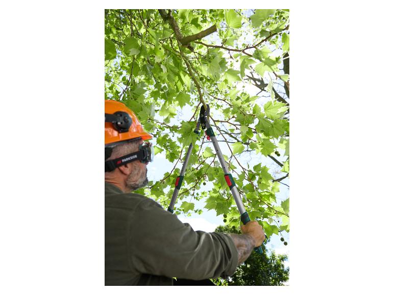 Homme avec casque de sécurité et lunettes taillant un arbre avec des cisailles télescopiques Parkside.