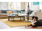 Salon avec nettoyeur de sol, table basse et chien sur un tapis jaune.