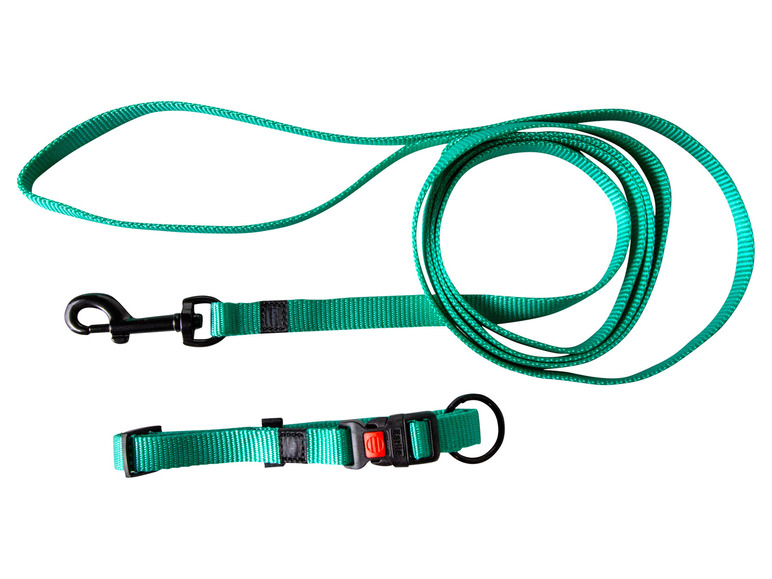 Aller en mode plein écran : Collier avec laisse - Image 13