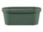 Un pot de fleurs ovale vert