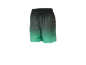 Short de bain vert dégradé avec cordon de serrage.