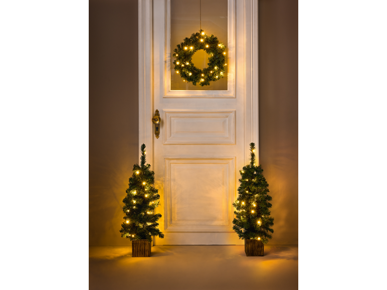 Couronne de Noël et deux petits sapins lumineux devant une porte.