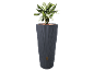 Grand pot de fleurs gris foncé avec une plante verte et un robinet doré.